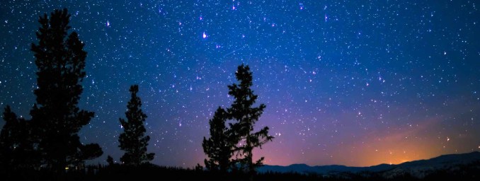 silhouette of trees and mountain under blue starry sky