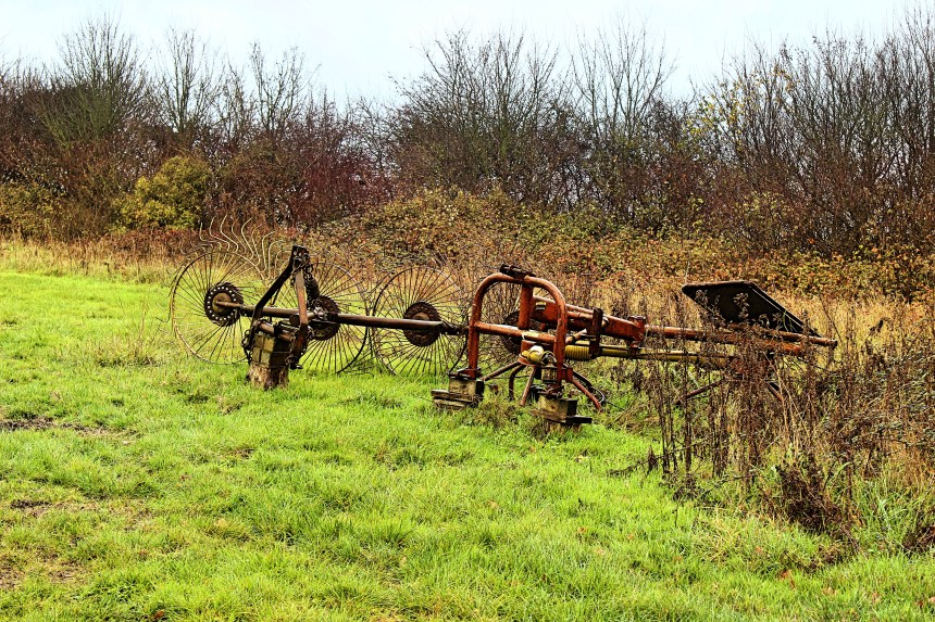 IMG_3231_Fotor
