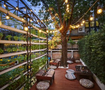 350x300xcapture-one-session0397-350x300.jpg.pagespeed.ic.asocq4ila7