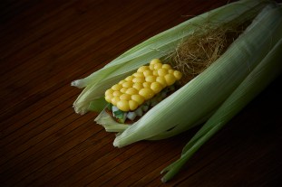 xhaoma_2018_shot_02_026-1-07.42.40.jpg.pagespeed.ic.2t8tpembg9