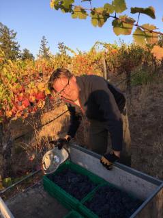 14322338_10210058137320597_4219495383695020972_n