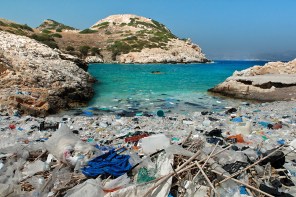 6156353604_c5da8bb881_b-1